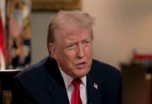 Trump anuncia ofensiva terrestre contra cárteles y afirma que dominan México