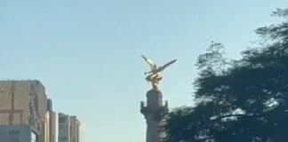 #Video: Así se vió el Ángel de la Independencia en el sismo de esta mañana