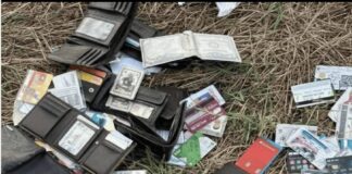 Colectivos de Búsqueda identifican a 14 de las credenciales halladas cerca de Mazatlán