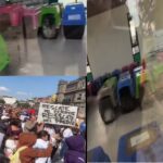 Colectivos, animalistas, activistas y el Refugio San Francisco denuncian con marcha maltrato animal en la Ciudad de México