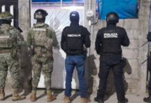 Asegura SSP más de 300 dosis de presuntos estupefacientes durante el fin de semana.