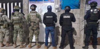 Asegura SSP más de 300 dosis de presuntos estupefacientes durante el fin de semana.