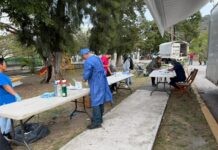 Por el bienestar animal, Ayuntamiento reactiva quirófano móvil para esterilizaciones