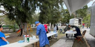 Por el bienestar animal, Ayuntamiento reactiva quirófano móvil para esterilizaciones