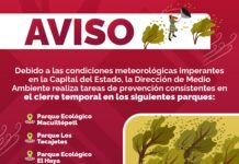 Aviso: cierre de parques en Xalapa por frente frío .