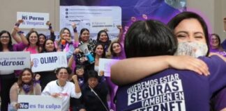 Restricciones de Grok ante violencia sexual digital no aseguran protección a mujeres: Defensora.