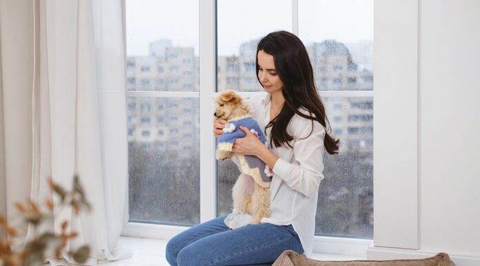 Una mascota no es un juguete ni un regalo pasajero.