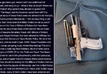 Trump respalda a agentes federales tras nueva muerte en Minneapolis y acusa a líderes locales de “incitar a la insurrección”