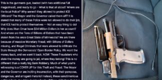 Trump respalda a agentes federales tras nueva muerte en Minneapolis y acusa a líderes locales de “incitar a la insurrección”