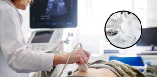 Microplásticos amenazan la salud reproductiva de las mujeres, advierten estudios.