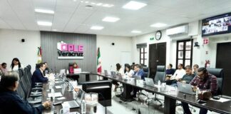 OPLE Veracruz cumple sentencia dictada por el TEV; amplían plazo a organizaciones