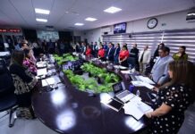 OPLE Veracruz aprueba integración del Consejo Municipal de Tamiahua