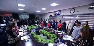 OPLE Veracruz aprueba integración del Consejo Municipal de Tamiahua
