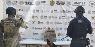 SSP detiene a 55 personas y asegura más de 437 dosis de presuntos estupefacientes