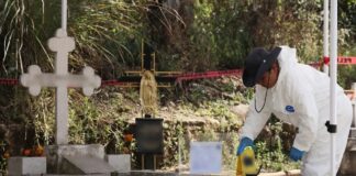 Alcanza a Brugada el caos forense: Proyecto piloto destapa cuerpos mezclados y registros fallidos en la fosa común de Dolores .
