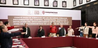 Parquímetros: dos décadas cobrando el pasado, sin invertir en el futuro