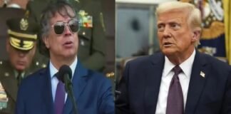 Petro y Trump acuerdan reunión en Washington tras llamada sobre drogas y desacuerdos