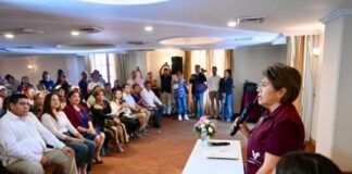 Llegarán los cruceros al Puerto de Veracruz en este 2026: Rosa María Hernández Espejo.