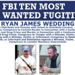 ¿Se entregó o no Ryan Wedding, exatleta olímpico canadiense, a la embajada de EEUU?