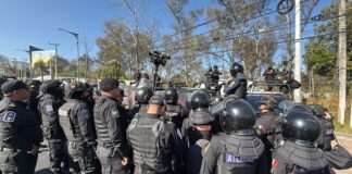 Mega operativo policial en Refugio Franciscano de animalitos destapa intereses mobiliarios en Cuajimalpa