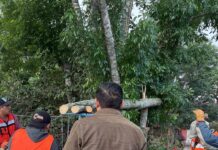 Xalapa registra afectaciones menores por el nortazo de la madrugada sin reporte de personas lesionadas.