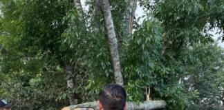 Xalapa registra afectaciones menores por el nortazo de la madrugada sin reporte de personas lesionadas.