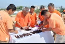 Proyecto Xanath, cultivo de vainilla para la reinserción social: SSP Veracruz