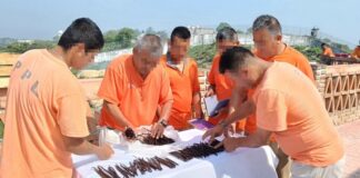 Proyecto Xanath, cultivo de vainilla para la reinserción social: SSP Veracruz