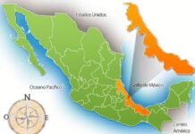 Veracruz, líder nacional en ingresos federales de libre disposición