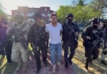 Detienen a “El Botox”, principal extorsionador de limoneros en Michoacán.