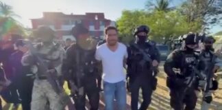 Detienen a “El Botox”, principal extorsionador de limoneros en Michoacán.