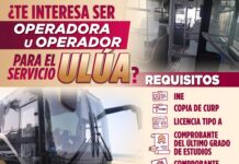 #EMPLEO: ¿Te interesa formar parte del nuevo servicio de transporte urbano ULÚA?