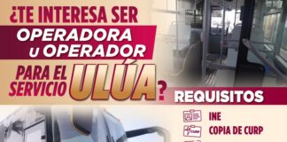 #EMPLEO: ¿Te interesa formar parte del nuevo servicio de transporte urbano ULÚA?