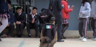 Seguridad Ciudadana llevó al TEBAEV jornada de Prevención de Adicciones