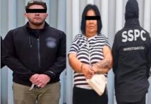 El Tren de Aragua: expansión criminal y violencia de género en América Latina