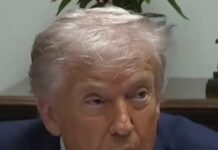 Donald Trump lanza advertencia contra Delcy Rodríguez.