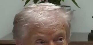 Donald Trump lanza advertencia contra Delcy Rodríguez.