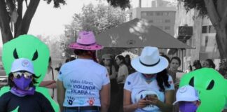 Cambiar de género para evadir pensión alimenticia confunde a impartidores de justicia: Diana Luz Vázquez