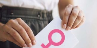 Solo 20 propuestas presentadas por INE contemplan reforzar paridad en Reforma Electoral