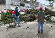 Vigilancia y atención permanente por Frente Frío 27: PC Veracruz