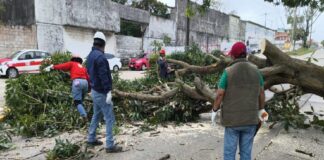 Vigilancia y atención permanente por Frente Frío 27: PC Veracruz
