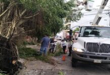 Saldo blanco tras tormenta y granizada en Catemaco.