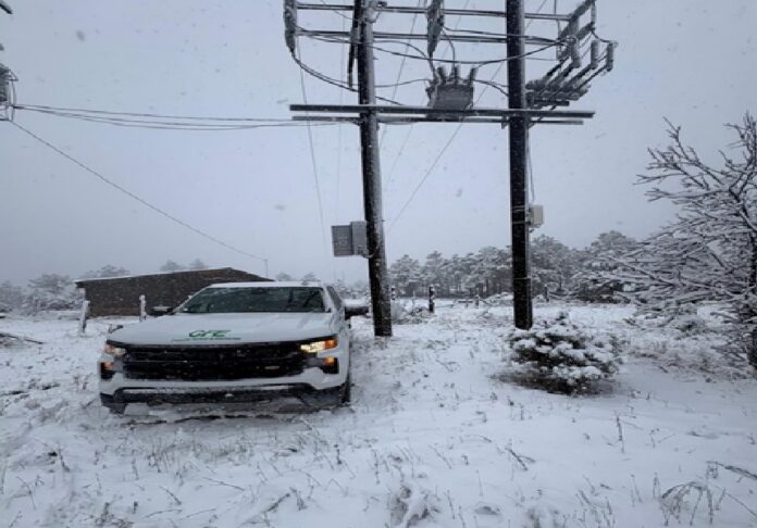 sistema Fern CFE mexico