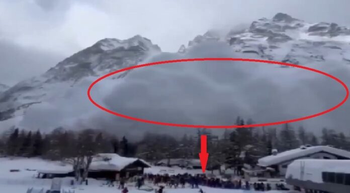 Avalancha en Castle Peak concluye con recuperación de los 9 cuerpos de mujeres y hombres esquiadores.