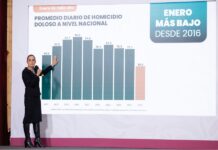 Reducción de 42 por ciento en homicidio doloso durante este gobierno, reporta presidenta Sheinbaum