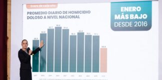 Reducción de 42 por ciento en homicidio doloso durante este gobierno, reporta presidenta Sheinbaum