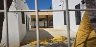 Mueren dos niñas haitianas en fosa séptica de albergue del DIF Oaxaca