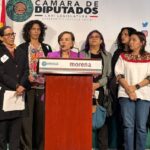 Defensoras buscan prohibir gestación subrogada. Será considerado trata