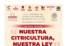 Anuncia Comisión Especial foros de consulta para Ley Citrícola .