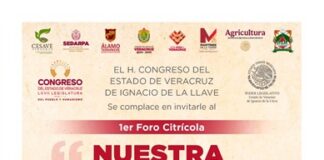 Anuncia Comisión Especial foros de consulta para Ley Citrícola .